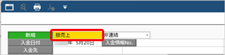 20250321_得意先元帳の計行に掛売上・現金売上・クレジットごとの金額を表示する_002_SA_入金情報.png