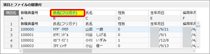 20260420_受入ファイル形式を作成する（形式作成）_007_Backspaceキー.png