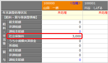 YearEndAdjustment_007_02.png